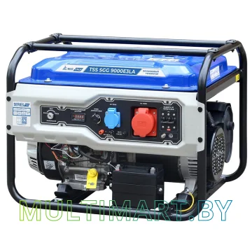 Бензиновый генератор ТСС SGG 9000E3LA